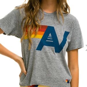 Aviator Nation Logo Boyfriend Tee Heather Gray in XS